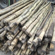 临安康艺竹木制品厂 匠心打造绿色生活的竹木精品