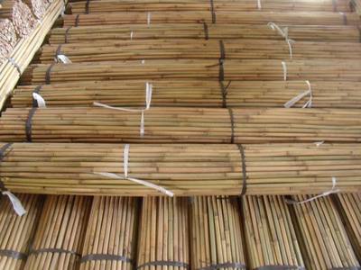 怀集茶竹 竹木制品的卓越之选